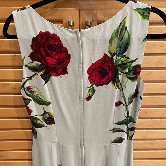 NWT Dolce & Gabbana Dress Mint Green and Red Roses - Picture 10 of 13